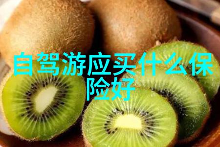 全球旅行指南探索地球上最迷人之地