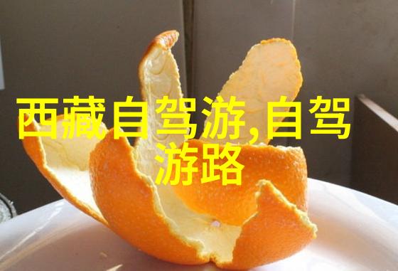 鸡插英语课代表语言学习中的创新策略