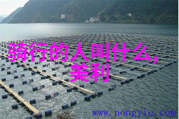 探索上海市中心的最佳住宿地精选推荐与攻略