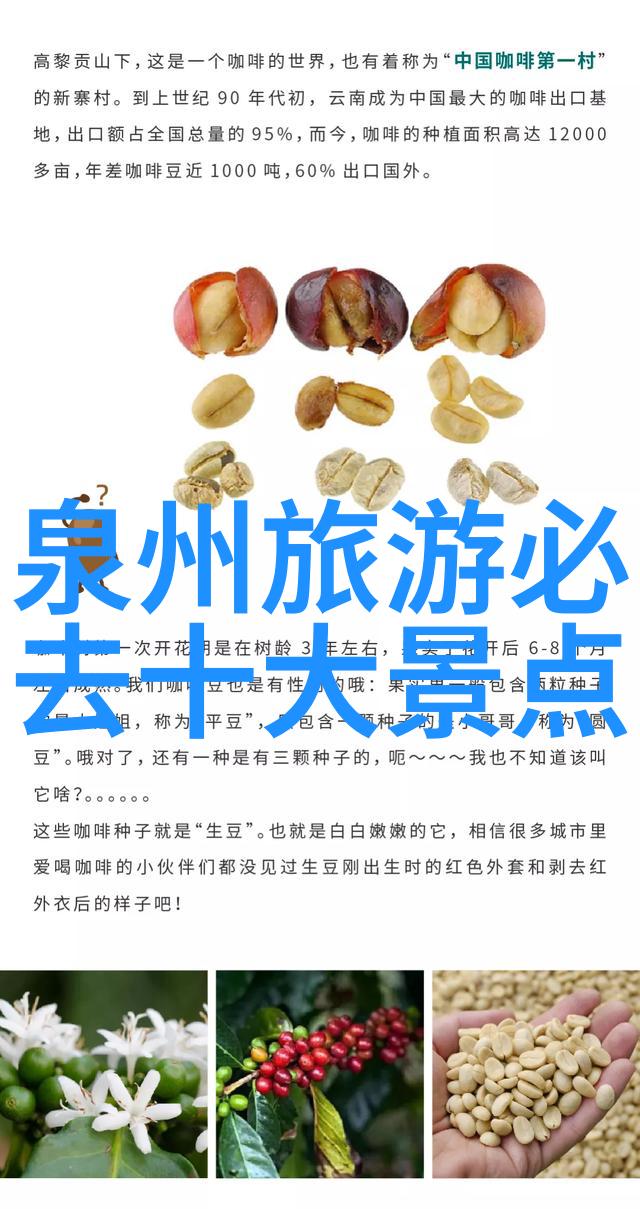 长春市区必游景点长春电影节纪念馆宽城堡历史文化园区东北林业大学美术学院
