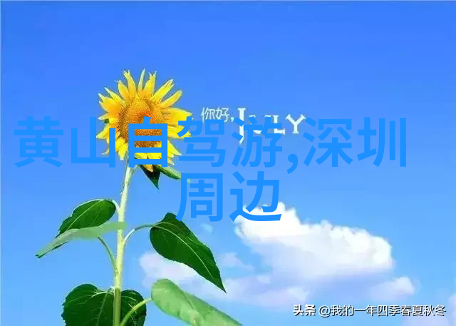 漫步苍穹下的草原梦