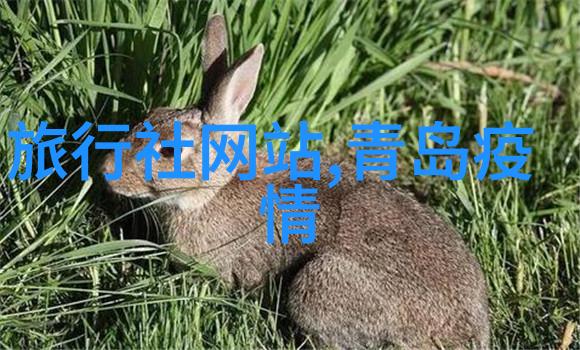自驾游英文探索全球风景之旅的英语指南