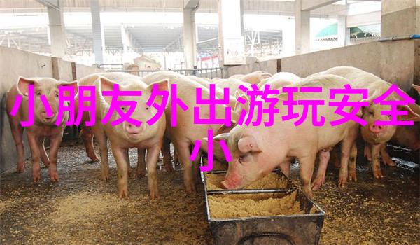 春意盎然成都探索四季美的最佳打卡路线