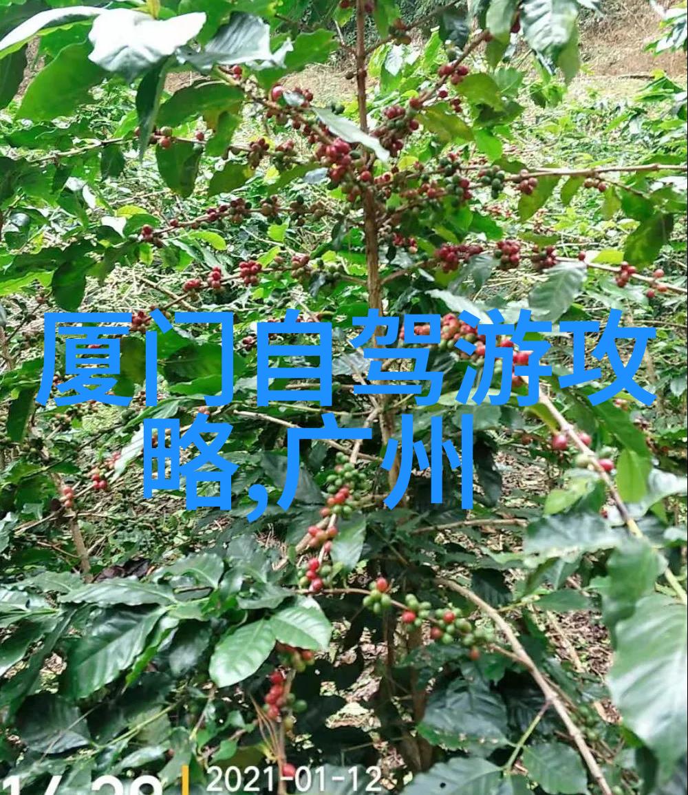 新疆自驾游攻略我的荒漠之旅不止是行程更是心情的飞翔