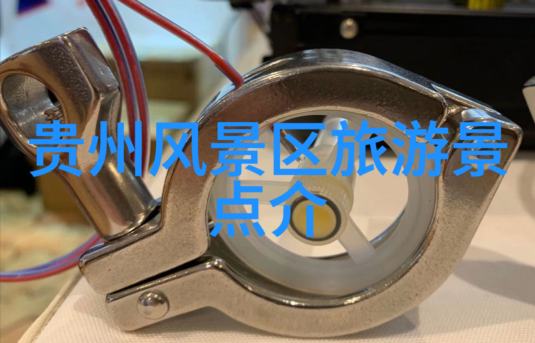 消失在绿茵孩子们的未解之谜
