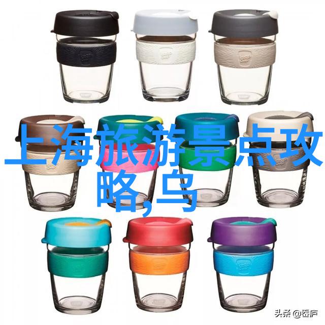 中国游客的海外探险体验与文化的碰撞