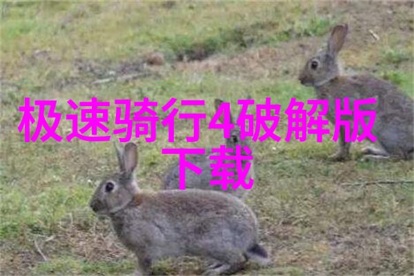 西安吃货必去的地方 - 试味西安揭秘老城区美食巷弄