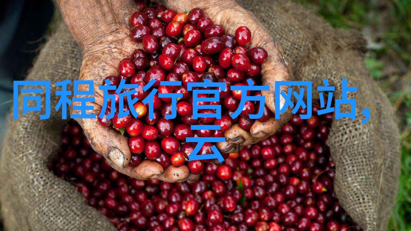 春风化雨中的古韵探寻