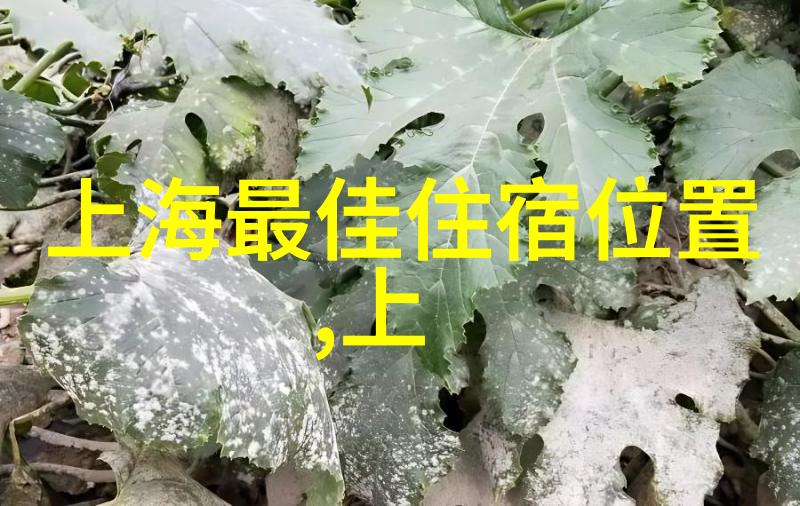 绚烂星辰下的归途