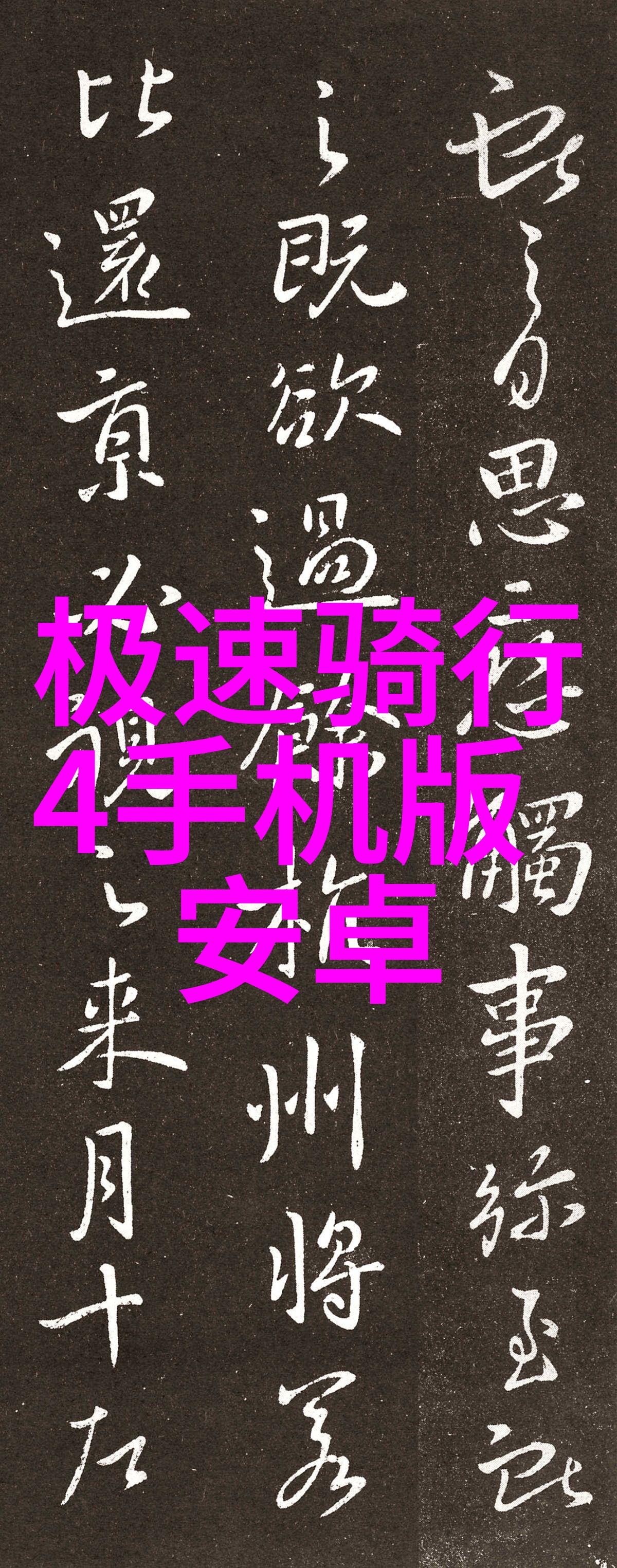 厦门美丽岛自驾游探索风景秀丽与文化深厚的秘密