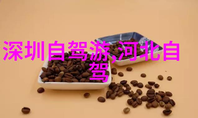 探索成都美食秘密必尝之选