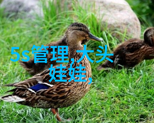 重庆园博园与珠海旅游攻略一日游物品选购路线