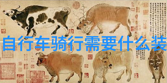 开启冒险之旅自驾游的迷人魅力