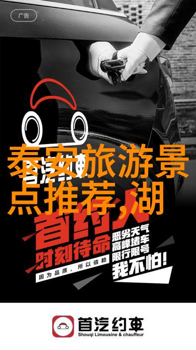 小77最新网址-追踪数字足迹揭秘小77最新网址的网络世界