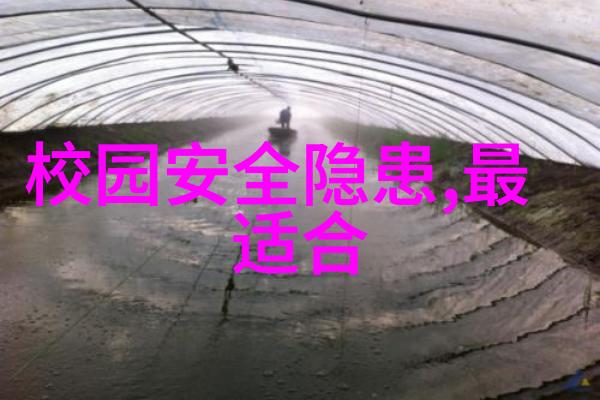 风起于新疆探秘丝绸之路的未知角落