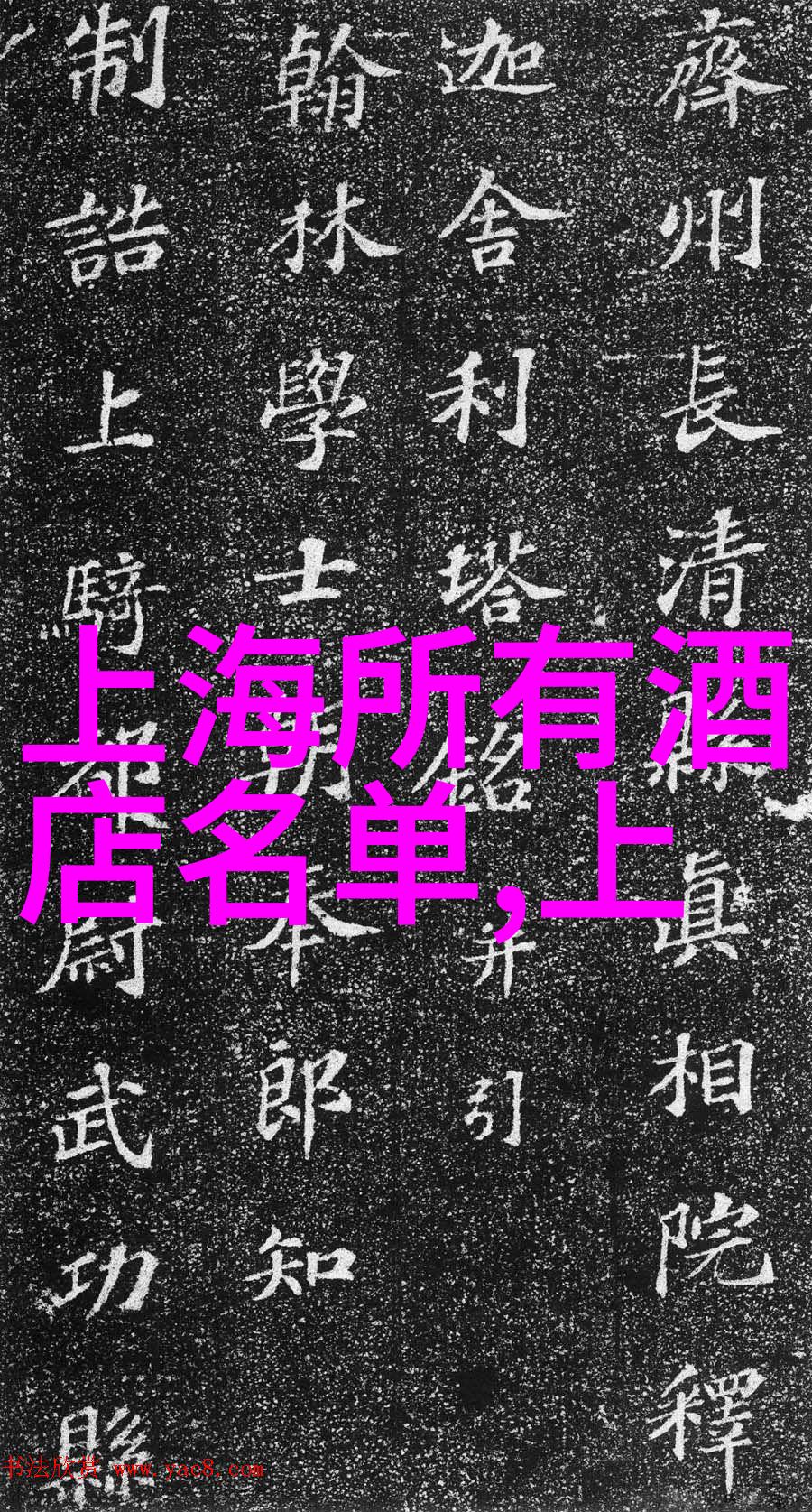 中国旅游数据网洞察旅客行为引领业界发展