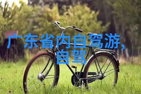 哪些国家的入境规定最为严格