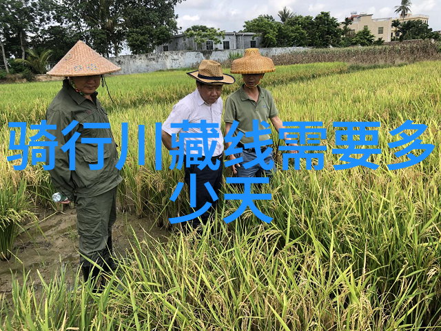 相敬如宾txt - 情谊之旅相敬如宾的深层探究