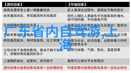 穿梭于数字风暴极速骑行4中文设置指南