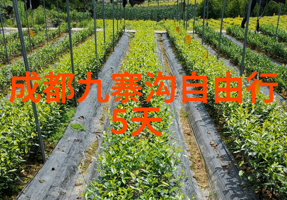 BT天堂网最新版本的崭新面貌探索下载世界的未来趋势