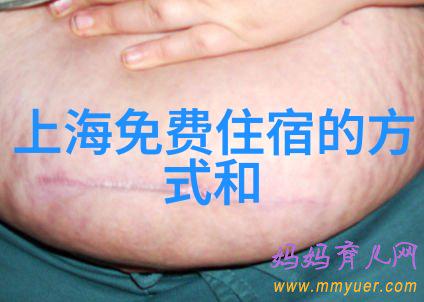 (未来的)科学家在野 大班科学实验与观察游戏