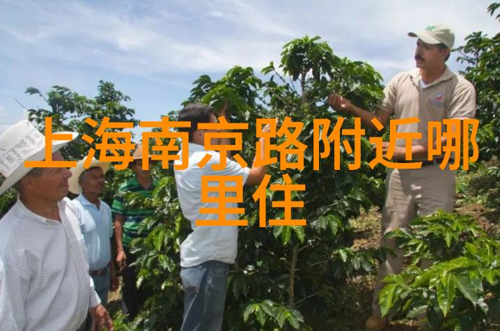 在校园绿茵场上学生们的笑声与汗水交织成一幅生动的画卷那里藏着什么样的故事呢
