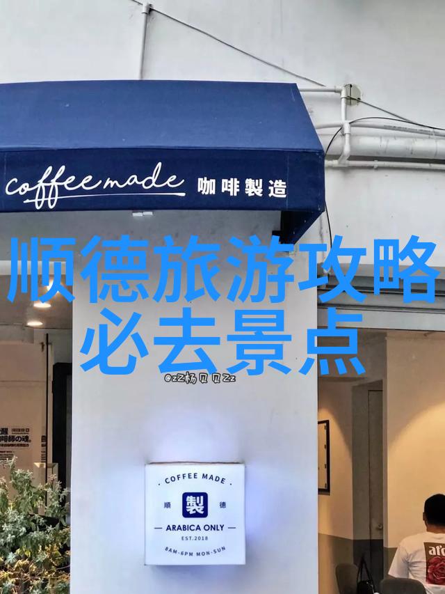 游记日记100字我是怎么在假期里捡到一块奇特的海滩石头的
