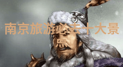 长颈鹿非洲草原上的奇妙巨型哺乳动物
