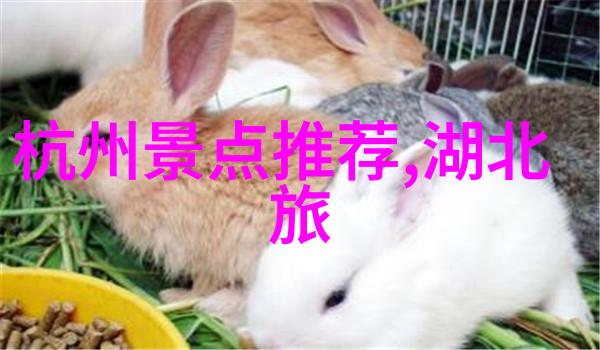 晨曦中的挑战体能蜕变的26公里骑行日记