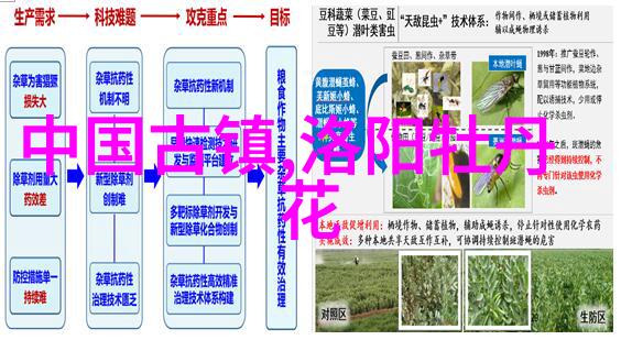 骑自行车有哪些好处我是如何发现骑行的乐趣和健康益处的