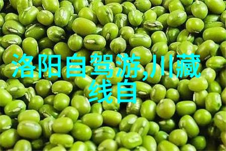 扬州旅游住宿攻略日游 - 梦幻江南一日游揭秘古韵美食的旅行指南