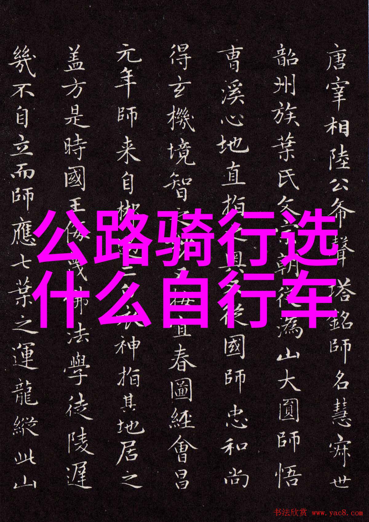 公路自行车论坛骑行爱好者共享经验与技巧