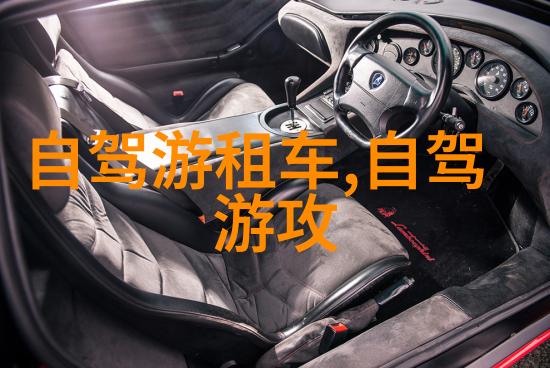 户外活动组织与流程-探索自然精心策划的户外冒险之旅