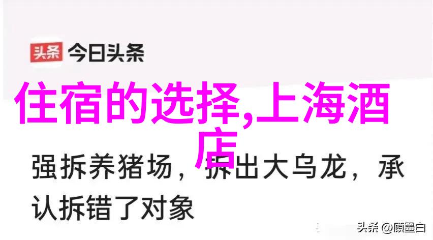 幼儿园户外游戏大全-探索乐趣的100个冒险活动