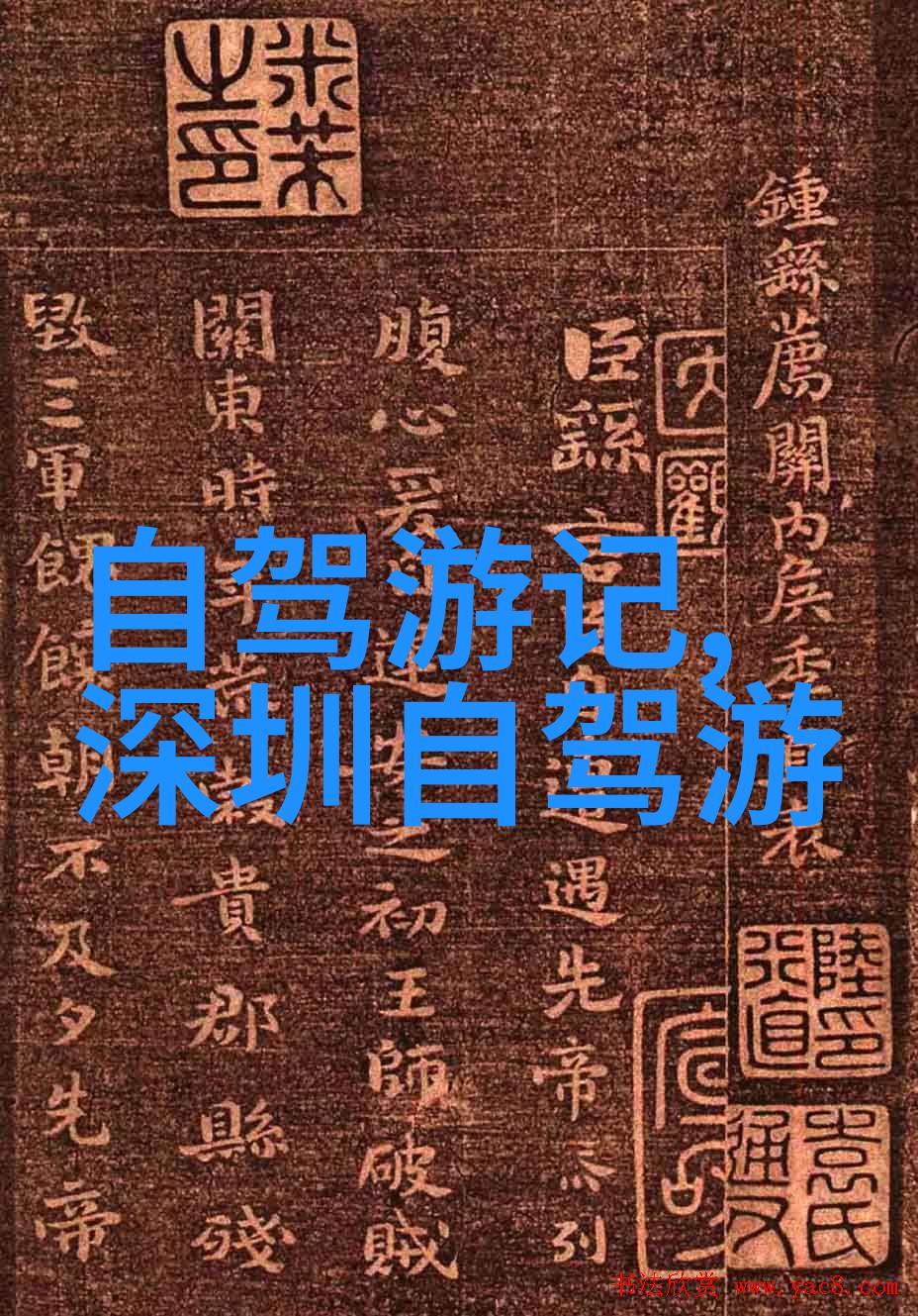户外冒险幼儿园里的野生小探险家