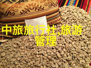 四川探秘云游天府之旅