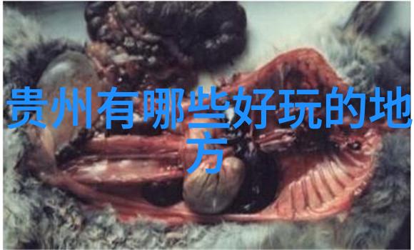 团建小游戏户外-野外冒险探索团队协作的乐趣