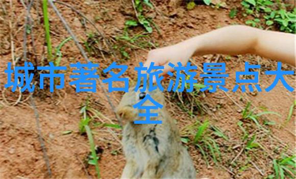 10天云南旅游最佳路线我来告诉你如何在云南玩得开心又不花大价钱