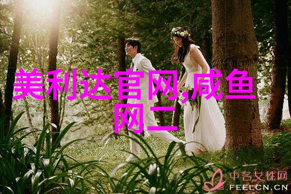 骑自行车健体益心健康的生活方式