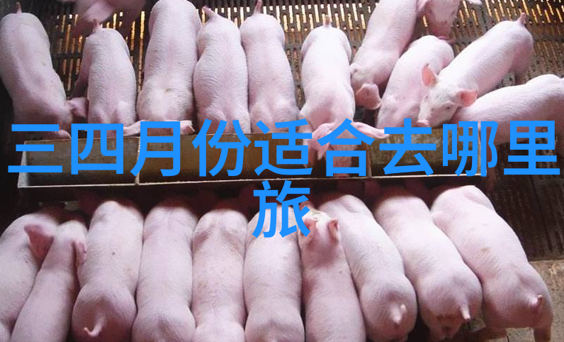 从北极到南极大自然的奇迹在等着你全球必去的冬至前夕之旅