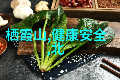 中国的出境游是哪年开始的我国民众首次踏足海外回顾那些被遗忘的旅程记忆