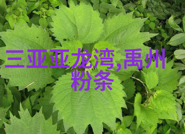 云南10日游跟团报价云南旅行十天行程团队旅游