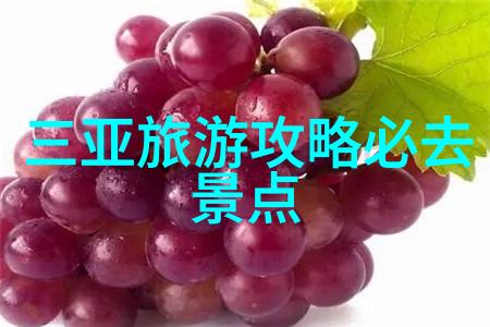 丽江旅游指南揭秘一站游的绝佳目的地