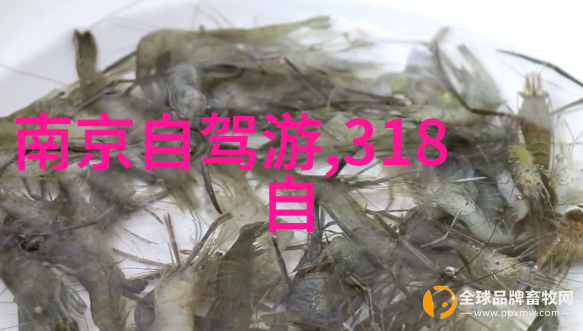 九华山梦回古今探秘翠峦间的隐逸居所