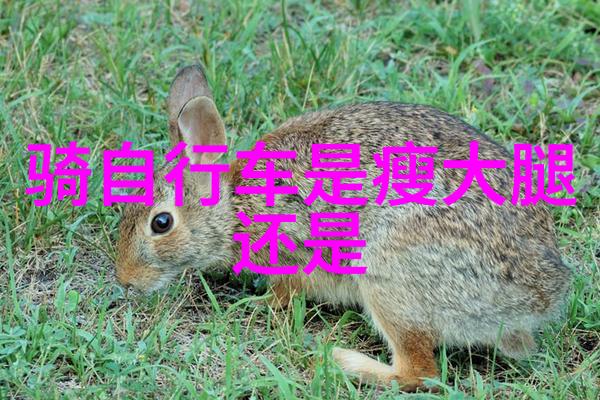 北京骑行探秘城中山水之旅