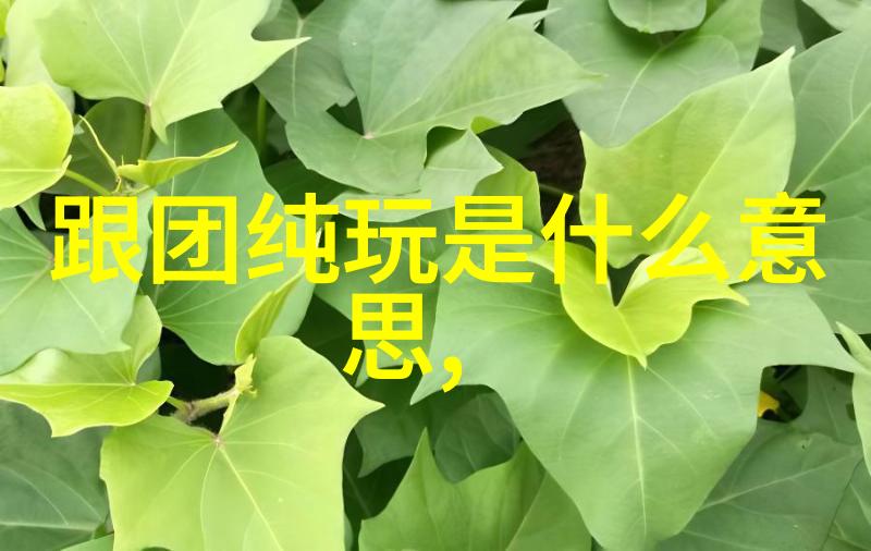 解锁秘密景点在七八月前往这些不为人知的度假天堂吧