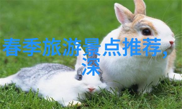 探秘中国揭秘一条古道上的魅力之旅