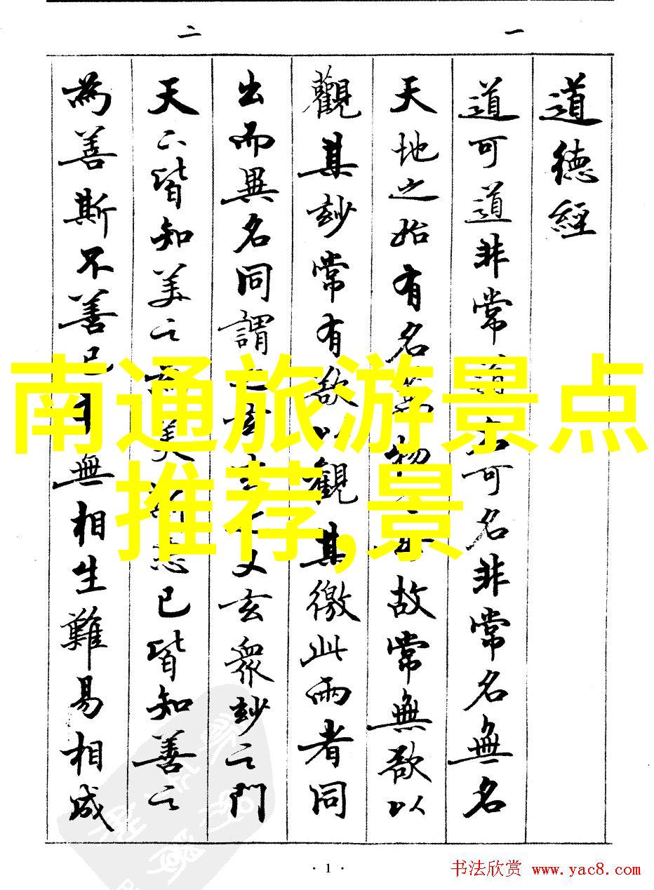 户外团建游戏活力体验与协作挑战