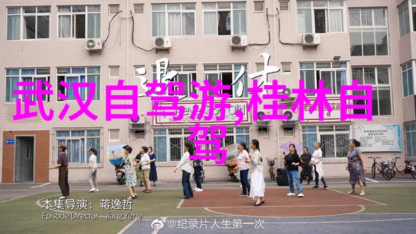 乌镇景区旗下酒店探秘水乡之冠的住宿奇迹