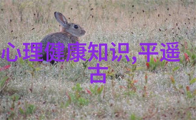 沙漠中的奇迹探索敦煌的美丽与深度